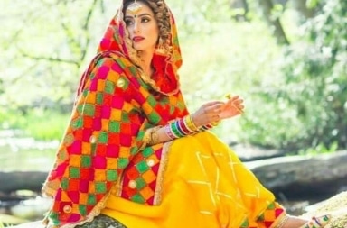 Georgette Embroidered Designer Punjabi Suit, mix