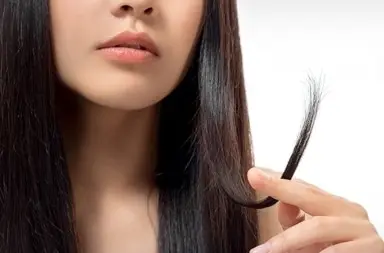 7 Awesome Remedies For Split End Hairs at Home