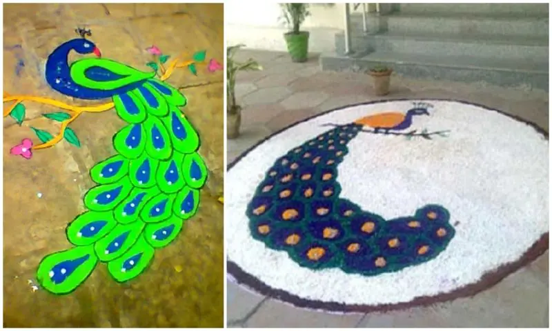 Bright and stunning peacock rangoli | Unique free hand peacock kolam for  festivals - YouTube