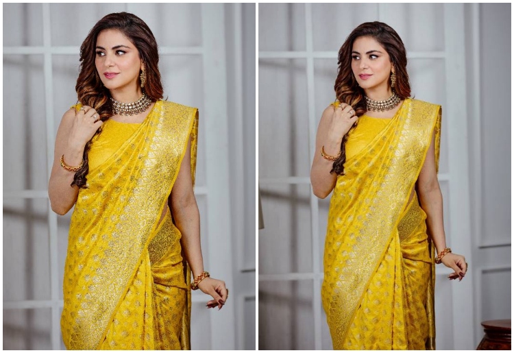 9 Marvellous Shraddha Arya Sarees with Designer Blouse Which Blows