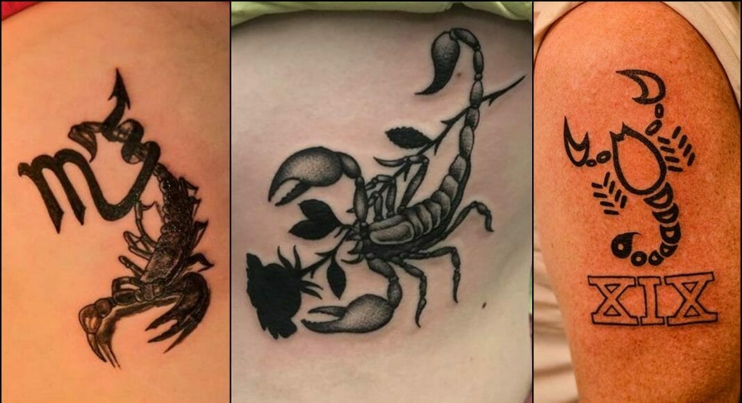 Tip 100+ about scorpion tattoo design latest .vn