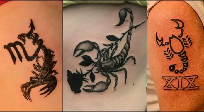 63 New Fashioned Zodiac Tattoos For Back  Tattoo Designs  TattoosBagcom