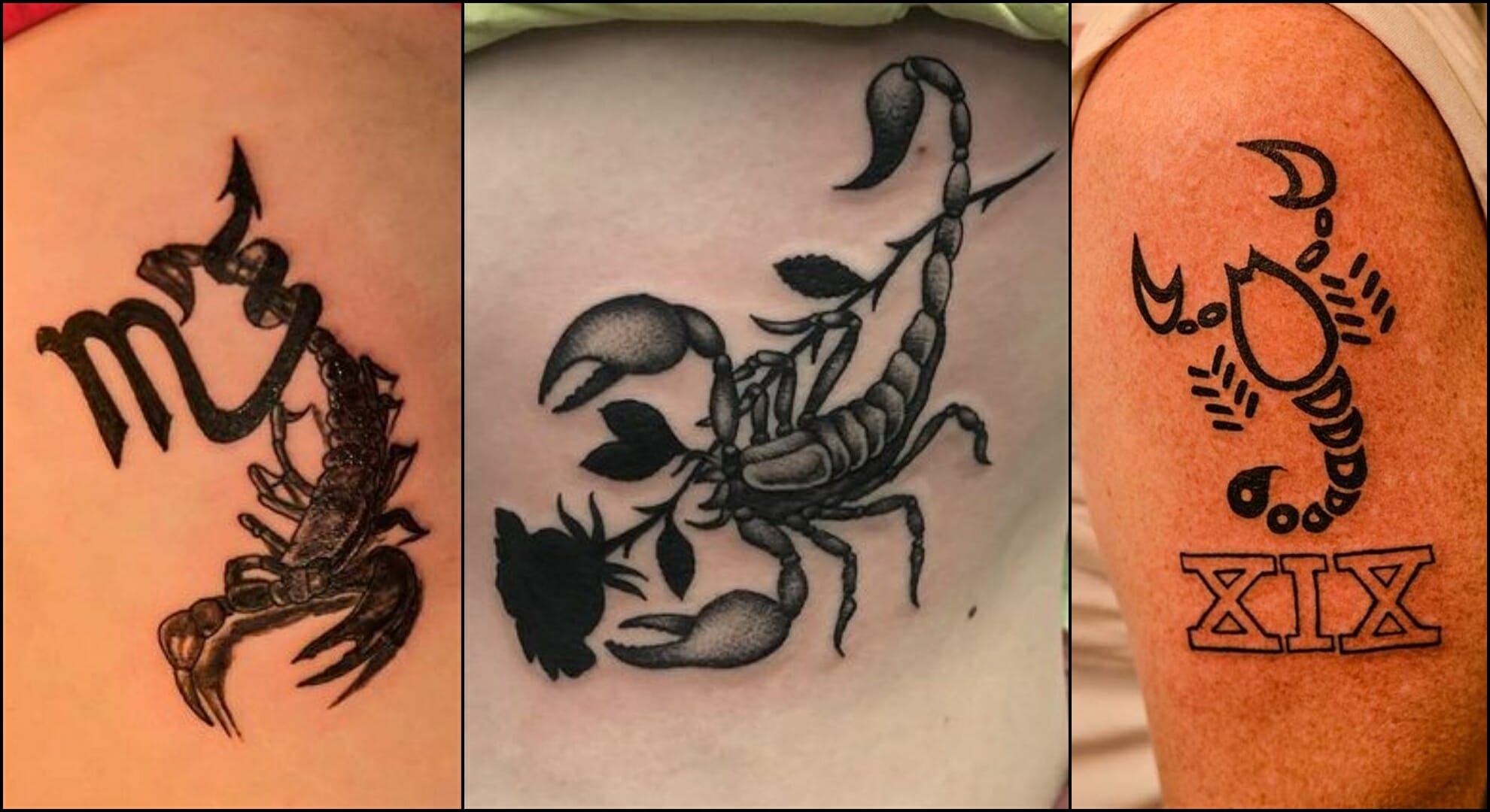 Tattoo of the zodiac sign of a scorpion 25 stylish sketches and tattoos of  a scorpion and meaning   Онлайн блог о тату IdeasTattoo