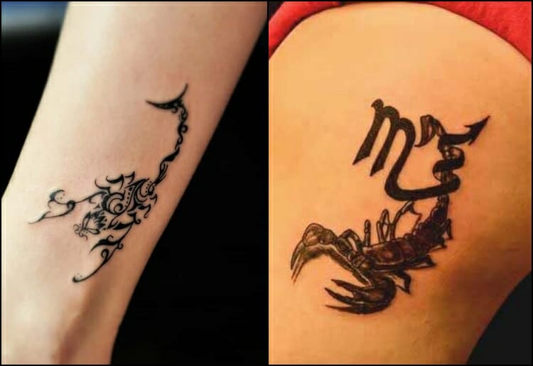 3D Temporary Spider Scorpion temporary Tattoo| Alibaba.com
